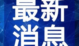 德清都市爆料新闻视频最新,都市新闻视频揭示惊人真相！